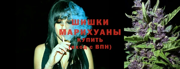 тгк Алзамай