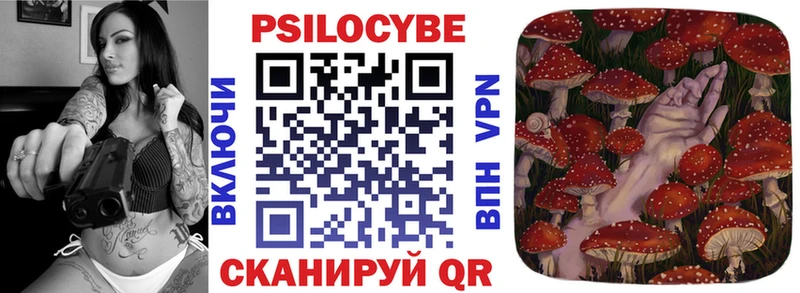 Псилоцибиновые грибы Cubensis  Хотьково 